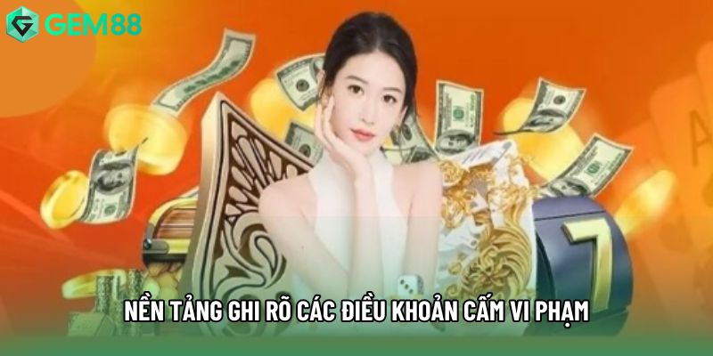 Nền tảng ghi rõ các điều khoản cấm vi phạm